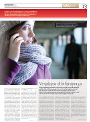 Síða 13
