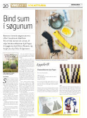 Síða 20