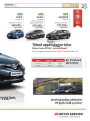 Síða 25