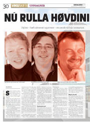Síða 30
