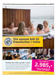Síða 3