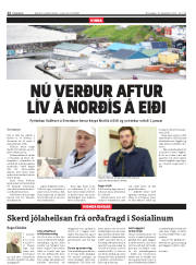 Síða 12