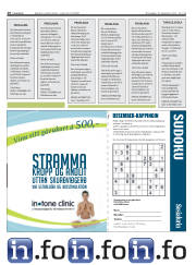 Síða 16