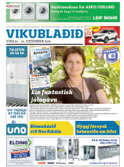 Síða 25