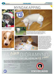 Síða 36