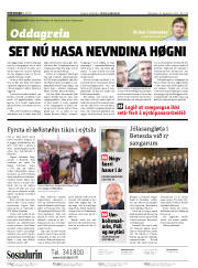 Síða 2