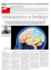 Síða 14