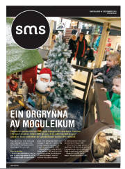 Síða 41