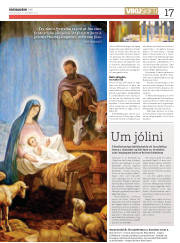 Síða 17