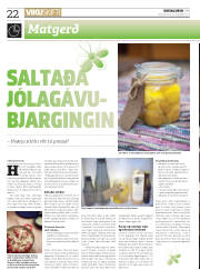 Síða 22