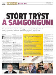 Síða 24