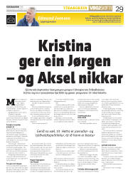 Síða 29