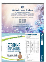 Síða 8