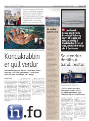 Síða 11
