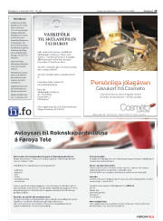 Síða 15