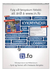 Síða 17