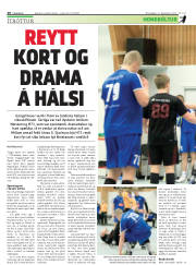 Síða 20