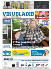 Síða 25