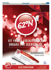 Síða 29