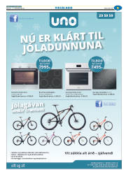 Síða 33