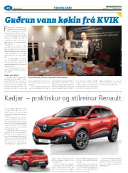 Síða 36