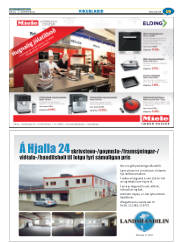 Síða 43