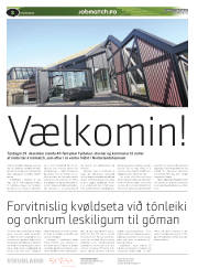 Síða 50