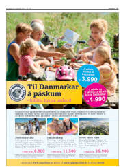 Síða 11