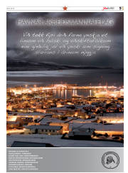 Síða 41