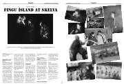 Síða 13
