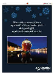 Síða 17