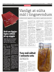 Síða 11