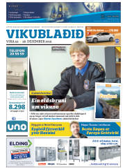 Síða 25