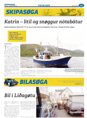 Síða 41
