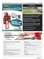Síða 21