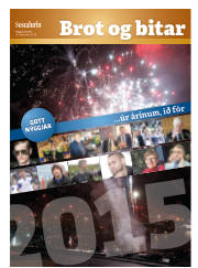 Síða 25