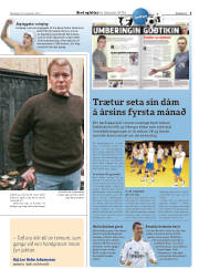 Síða 29