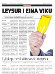 Síða 6