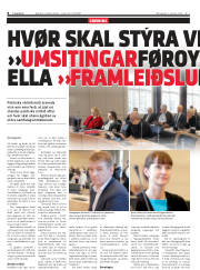 Síða 8
