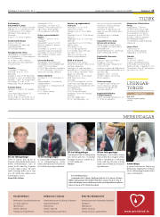 Síða 15