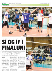 Síða 20