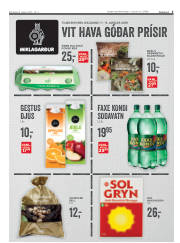 Síða 3