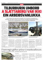 Síða 4