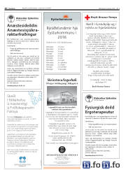 Síða 16