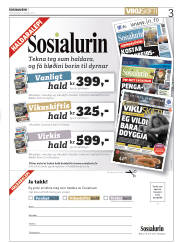 Síða 3
