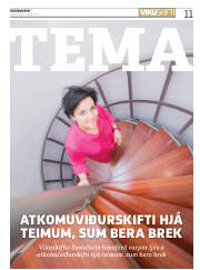 Síða 11
