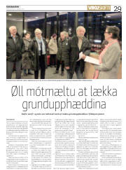 Síða 29