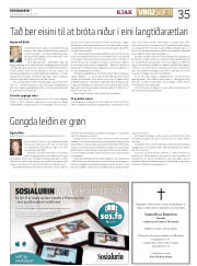 Síða 35