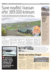 Síða 12