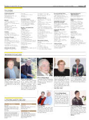 Síða 15